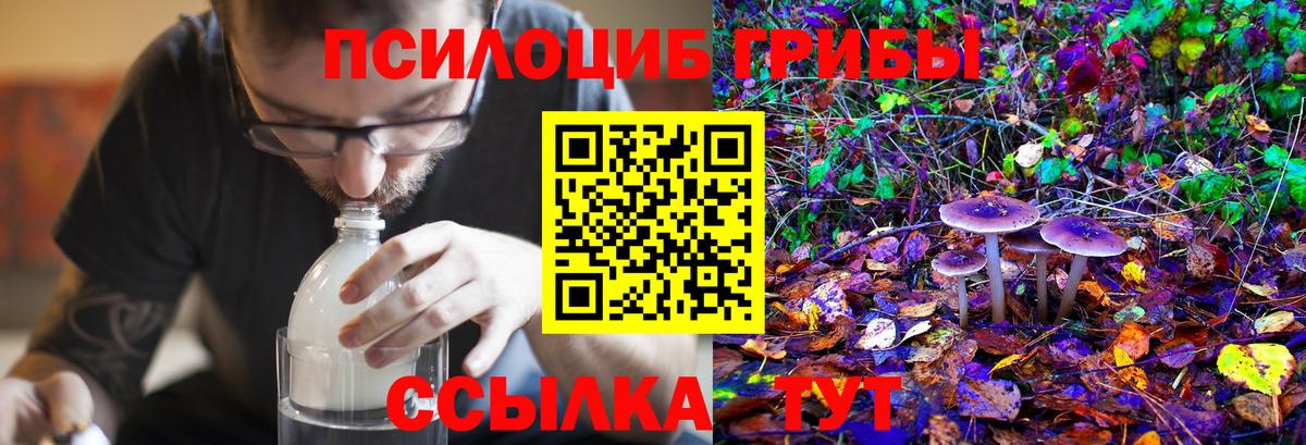 Псилоцибиновые грибы GOLDEN TEACHER  Галлюциногенные грибы MAGIC MUSHROOMS  Зерноград  Вход с VPN 