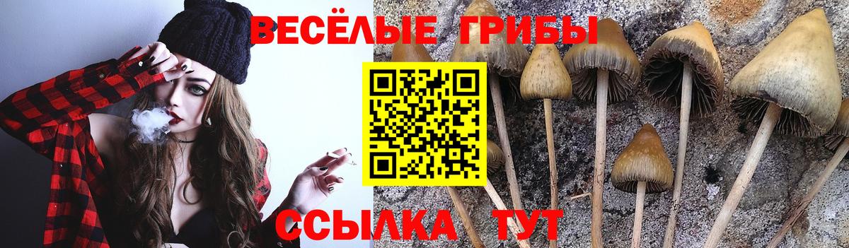 Галлюциногенные грибы прущие грибы Зерноград